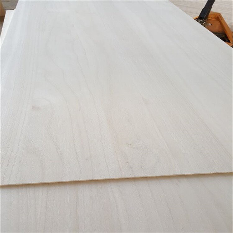 2 * 4 kindel Paulownia juhatus