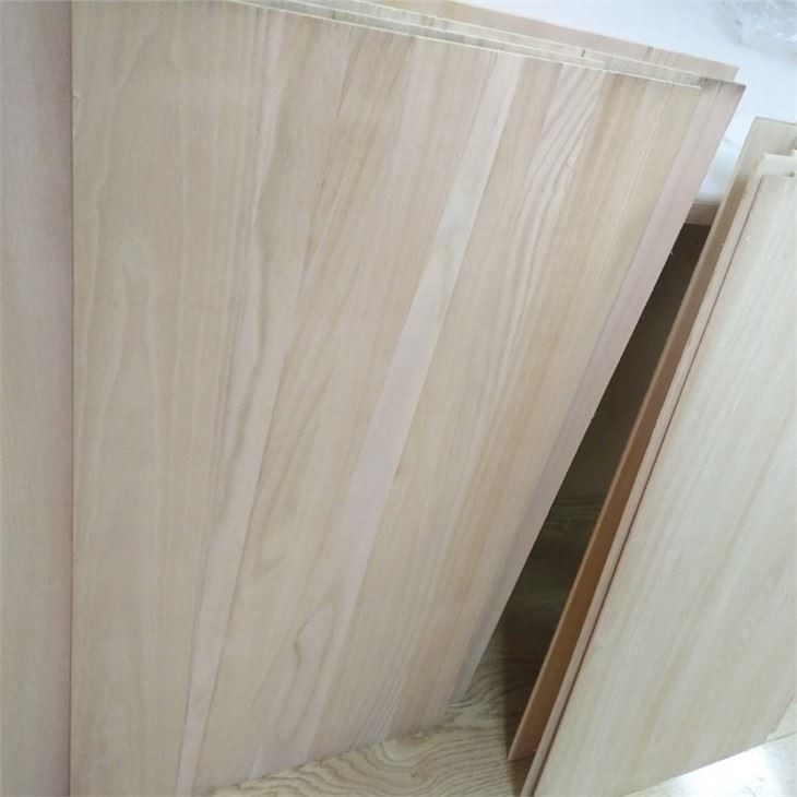 Paulownia Puzzle