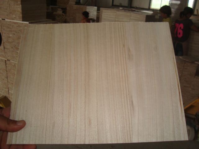 Taekwondo/Karate Training Boards